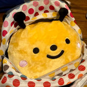Shopzoki Bee Heatable Plush Review