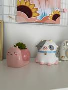Shopzoki Cow Night Light Review