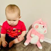 Shopzoki Strawberry Shiba Heatable Plush Review