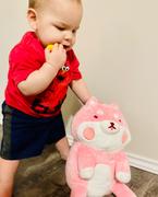 Shopzoki Strawberry Shiba Heatable Plush Review