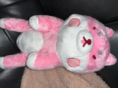 Shopzoki Strawberry Shiba Heatable Plush Review