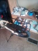 Lectric eBikes XP™ Lite Rear Rack Review
