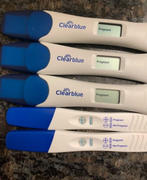 Wisdom of the Womb Male Fertility Bundle Review