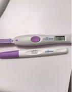 Wisdom of the Womb Ovulation Support Bundle Review
