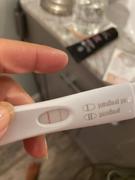 Wisdom of the Womb Fertile Mama Fertility Fix - 12 Week Program (plus $50 Product Gift Card!) Review