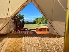 Life inTents 16' (5M) Stella™ stargazer bell tent Review