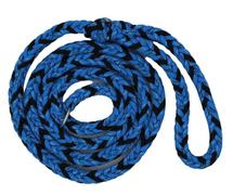 The Leash Ladies Icy Cold Paracord Dog Leash Review