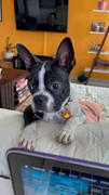 TRILL PAWS  Flame Tag Review