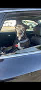 TRILL PAWS  Sup Tag Review