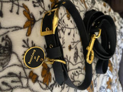 TRILL PAWS  Collar Midnight Black Review