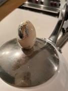 Pinky Up Tea Presley Pistachio Tea Kettle Review
