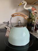 Pinky Up Tea Presley Pistachio Tea Kettle Review