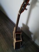 Avian Guitars Songbird 5A Review
