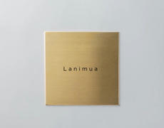 Humane THE DOOR PLATE Review
