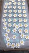 CaljavaOnline Large Drop Flower Royal Icing Decorations (Bulk) - Assortment Review