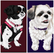 iLovePaws Custom Pet Portrait Canvas Review