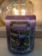 Kringle Candle Company Country Love DayLight Review
