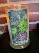 Kringle Candle Company Succulents NEW! | Wax Melt Review