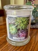 Kringle Candle Company Succulents NEW! | DayLight Review
