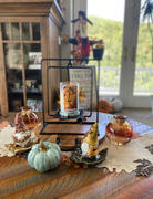 Kringle Candle Company Sugar Pumpkins Large 2-wick Review
