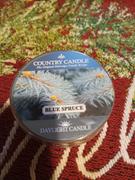 Kringle Candle Company Blue Spruce | DayLight Review