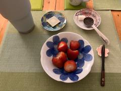 MUSUBI KILN Higashi Kiln P.S. Blue Tobe Bowl Review