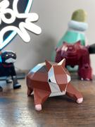 Crumb's Official Store Chinchompa Review