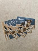 The Rover Store Sitter Promo Cards - Services Listed (250 cards) Review
