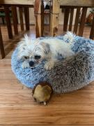 The Rover Store Dizzy Hedgehog Two-in-One Squeaker Ball Dog Toy Review