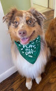 The Rover Store ‘Play All Day’ Dog Bandana Review