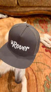 The Rover Store Mesh Snapback Logo Hat Review