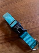 The Rover Store Mimi Green Classic Webbing Personalized Dog Collar Review
