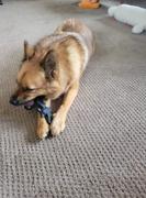 The Rover Store SodaPup Vampire Bat Power Chewer Dog Toy Review