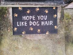 The Rover Store ‘Hope You Like Dog Hair’ Rug Review
