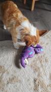 The Rover Store Hide n' Seek Plush Dinosaur Treat Dispensing Dog Toy Review