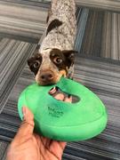The Rover Store West Paw Sailz™ Disc Dog Toy Review