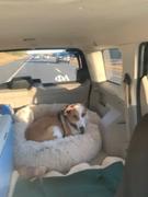 The Rover Store The Original Donut Shag Calming Pet Bed Review