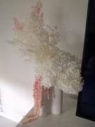 Flowers Across Australia Fairy Floss DIY Kit Review