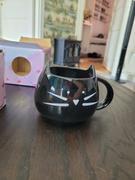 Allting Katt Kattmugg Review