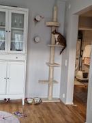 Allting Katt Justerbart Klösträd / Kattträd Med Sisalrep Review