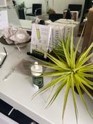 omayma skin The Bedouin Elixir Facial Oil Review