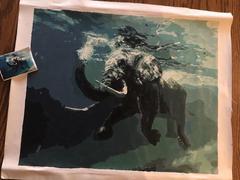 Paint Plot Australia Swimming Elephant kit Review