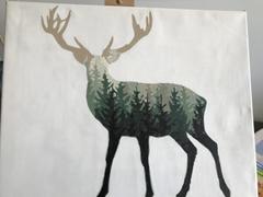 Paint Plot Australia Forest Deer kit Review