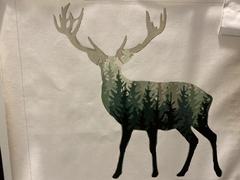 Paint Plot Australia Forest Deer kit Review