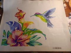 Paint Plot Australia Hummingbird and Flower kit Review