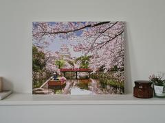 Paint Plot Australia Spring in Japan kit Review