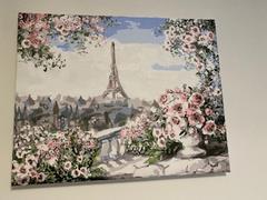 Paint Plot Australia Roses in Paris kit Review