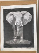 Paint Plot Australia The Elephant kit Review