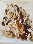 Paint Plot Australia The Horse kit Review