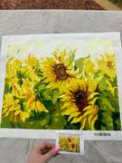 Paint Plot Australia Sunny Sunflowers kit Review